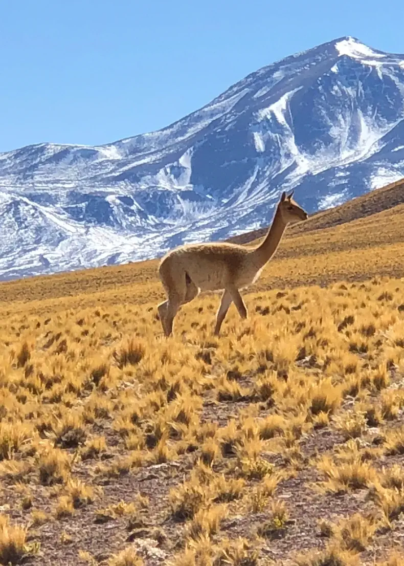 Argentina