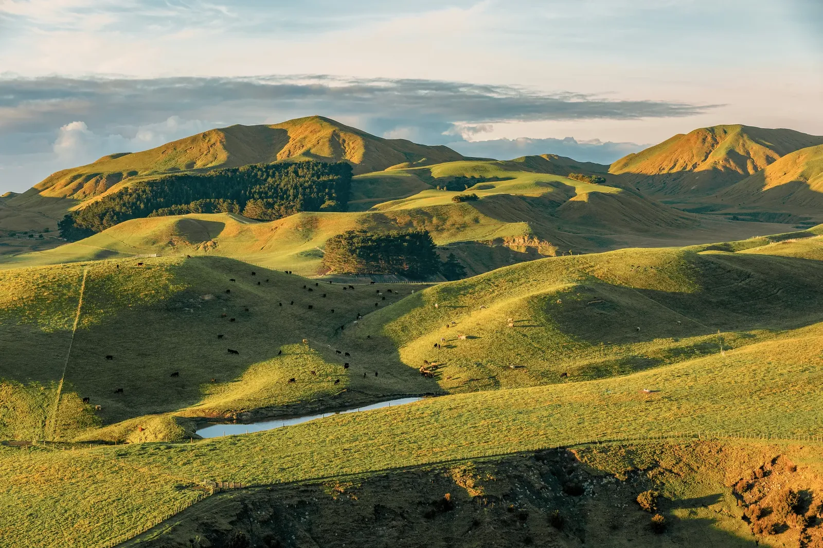 Rosewood Cape Kidnappers
