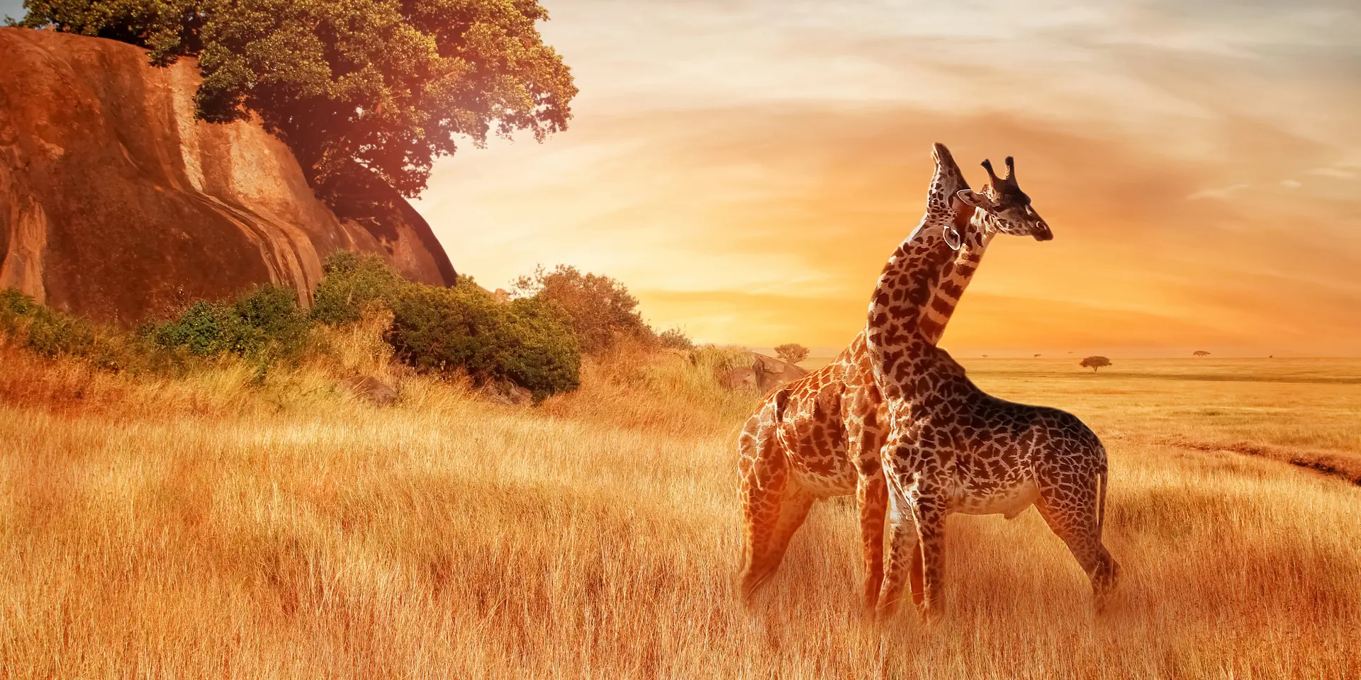 Tanzanija za prvi safari: od savane do Zanzibarja