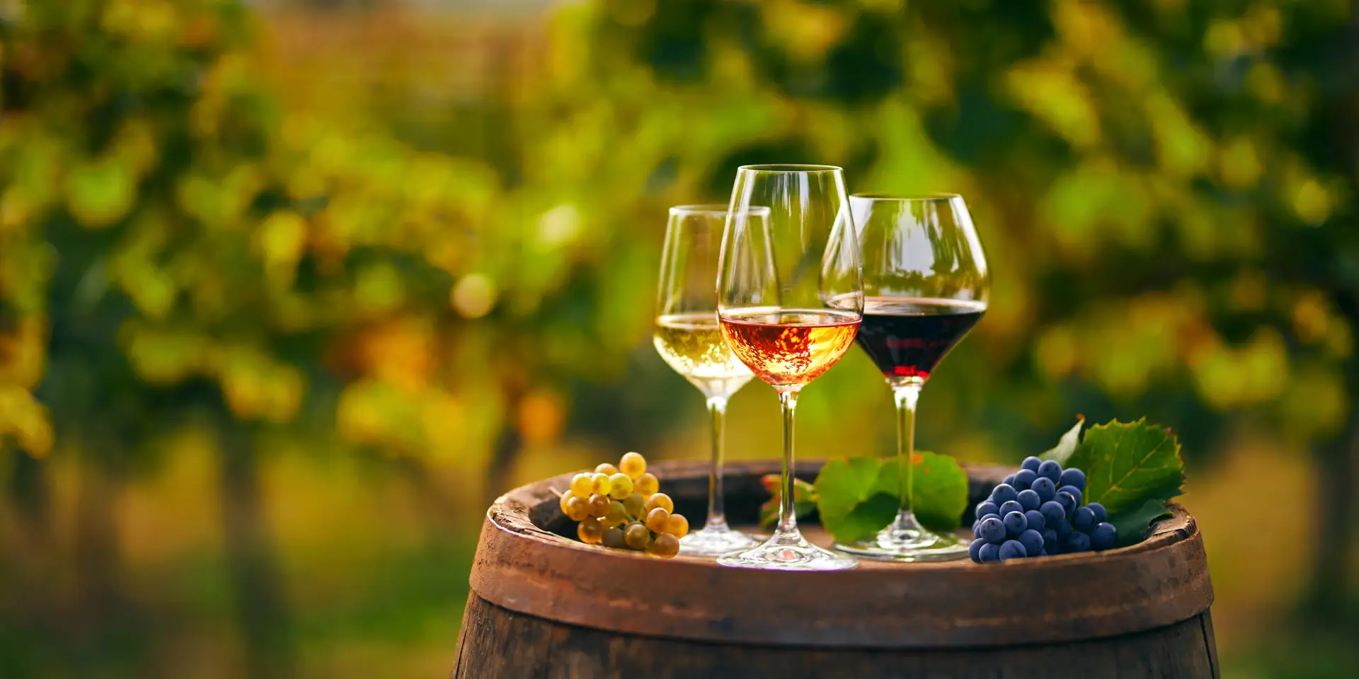 LOISIUM Wine & Spa: kateri vinski oddih izbrati?