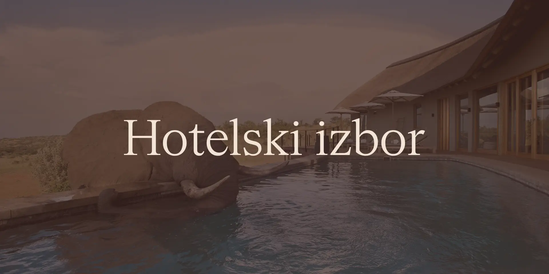 Mhondoro Safari Lodge & Villa: Južna Afrika, Welgevonden Game Reserve