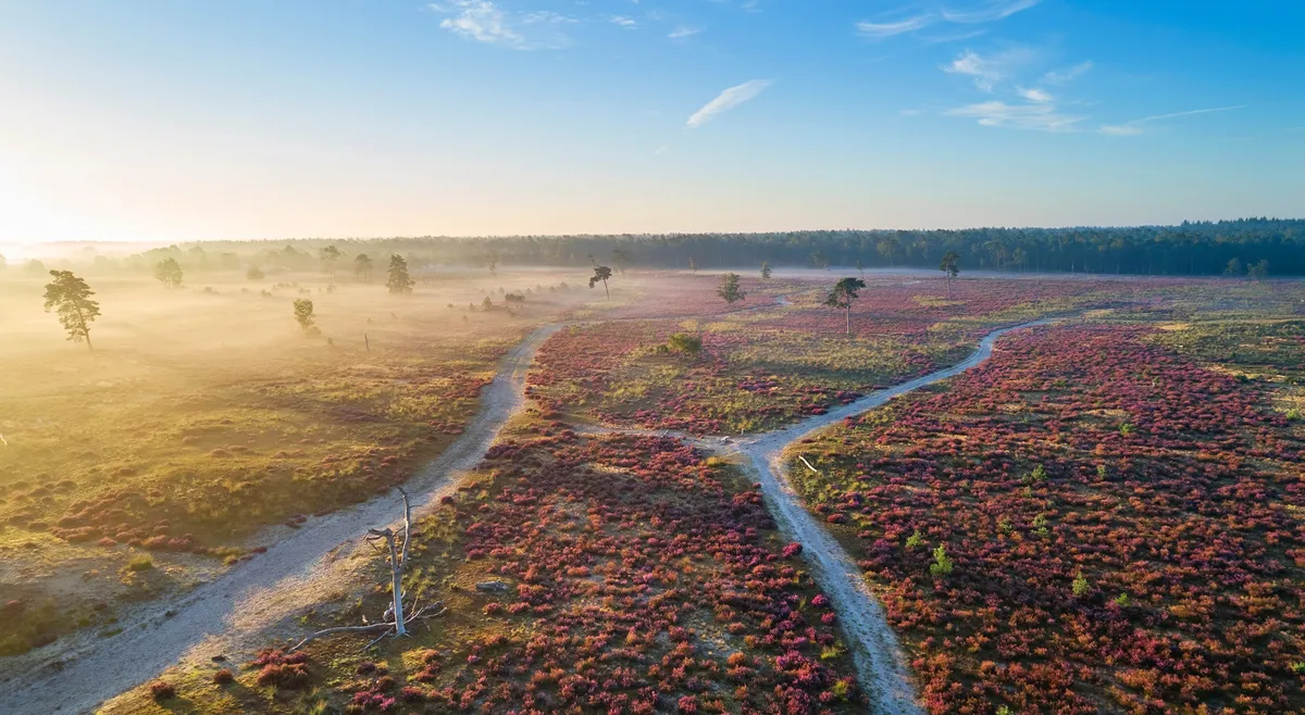 Loonse en Drunense Duinen, Drugačen obraz Nizozemske