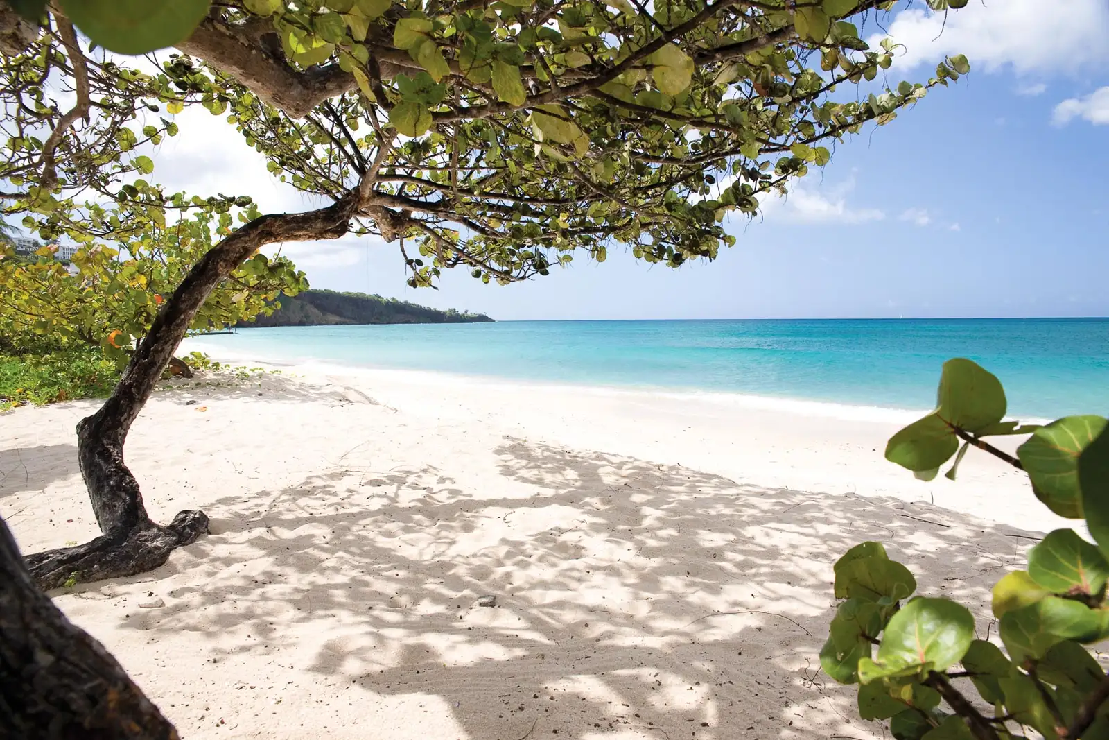 Spice Island Beach Resort