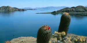 Baja California, Mehika