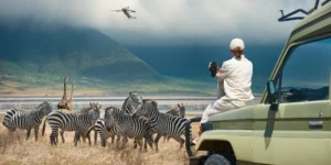 Ni vsak safari enak