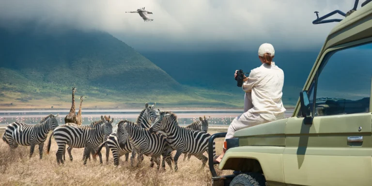 Ni vsak safari enak